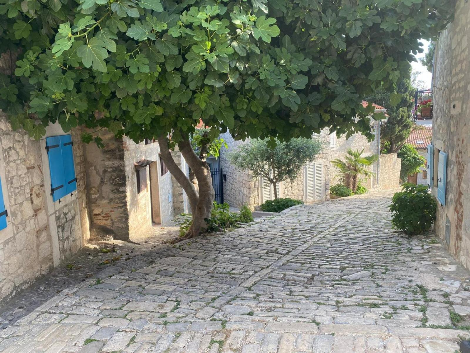 Tiny House Fuma Rovinj